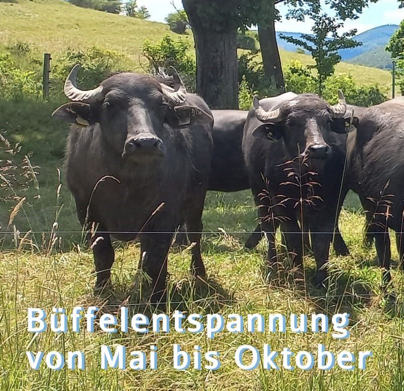 Gesundheitspraxis Friedrichroda